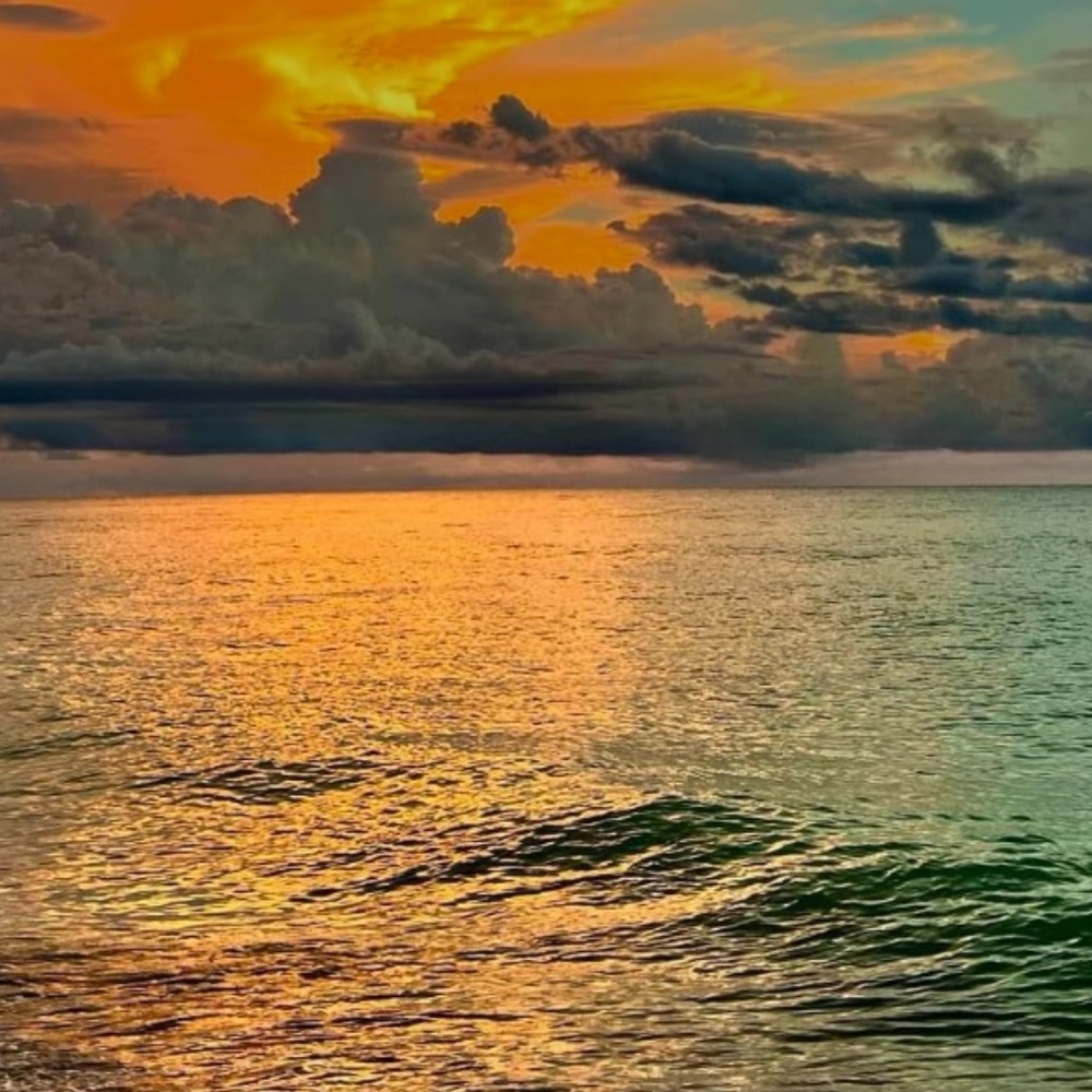 Meet your Posher, Gigi